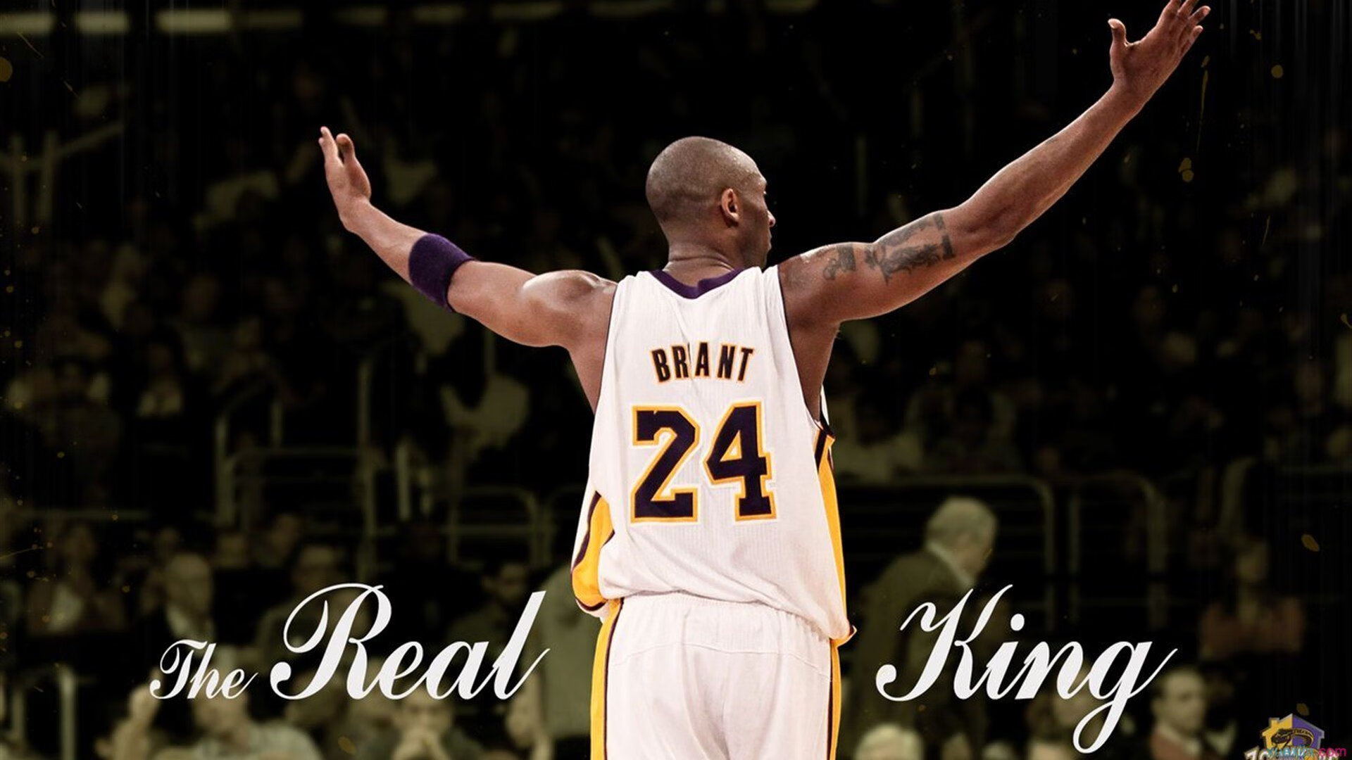 Timgad 举办 3×3 球赛+植树活动,助推社会融合与环保意识,植树节赛